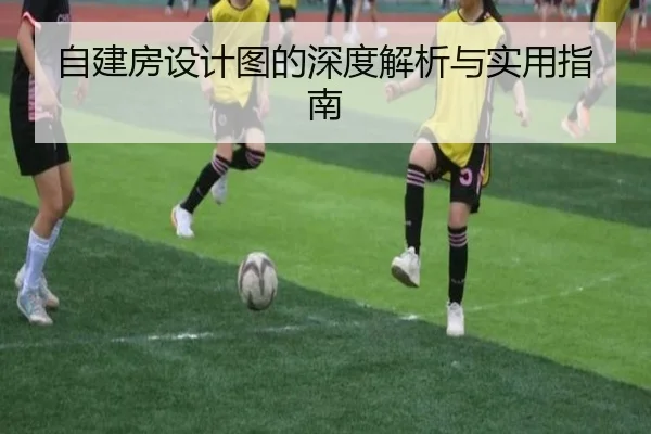 自建房设计图的深度解析与实用指南
