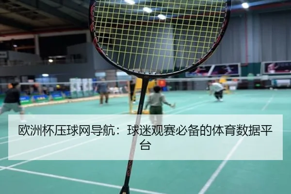 欧洲杯压球网导航：球迷观赛必备的体育数据平台